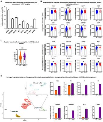 Oncogenes and cancer associated thrombosis: what can we learn from single cell genomics about risks and mechanisms?